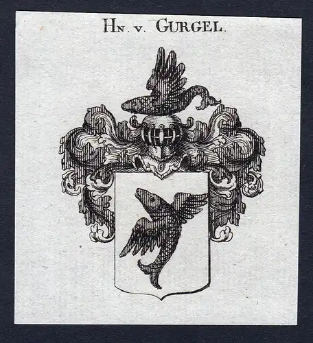 Hn. v. Gurgel - Gurgel Wappen Adel coat of arms Kupferstich heraldry Heraldik engraving