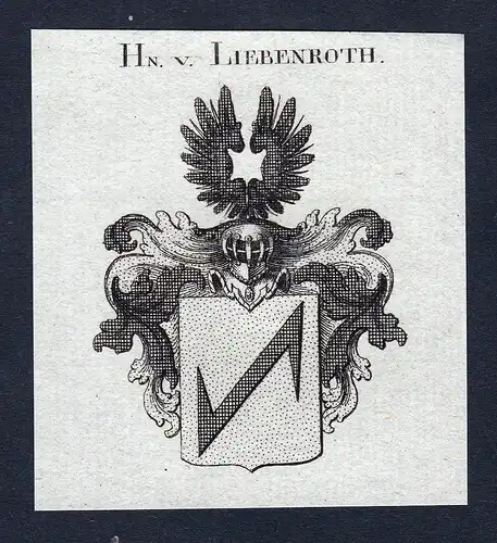 Hn. v. Liebenroth - Liebenroth Wappen Adel coat of arms Kupferstich heraldry Heraldik engraving