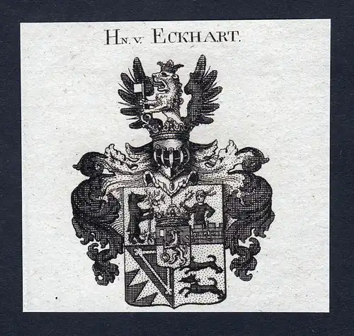 Hn. v. Eckhart - Eckhart Wappen Adel coat of arms Kupferstich heraldry Heraldik engraving