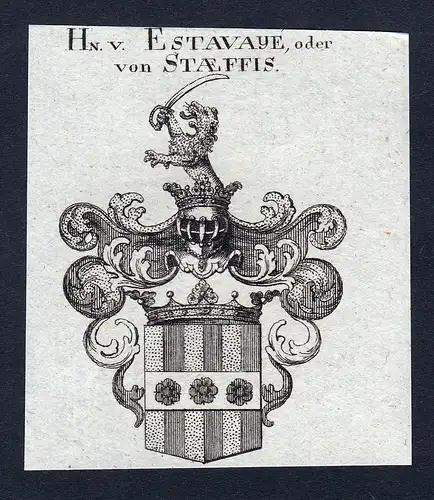 Hn. v. Estavaye, oder von Staeffis - Estavaye Staeffis Wappen Adel coat of arms Kupferstich heraldry Heraldik