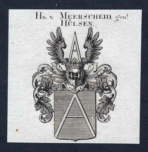 Hn. v. Meerscheid, gen. Hülsen - Meerscheid Hülsen Meerscheidt-Hüllessem Wappen Adel coat of arms Kupfersti