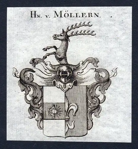 Hn. v. Möllern - Möllern Moellern Wappen Adel coat of arms Kupferstich  heraldry Heraldik