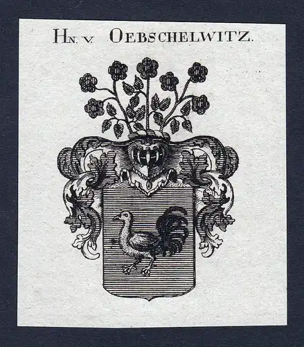 Hn. v. Oebschelwitz - Oebschelwitz Wappen Adel coat of arms Kupferstich heraldry Heraldik engraving