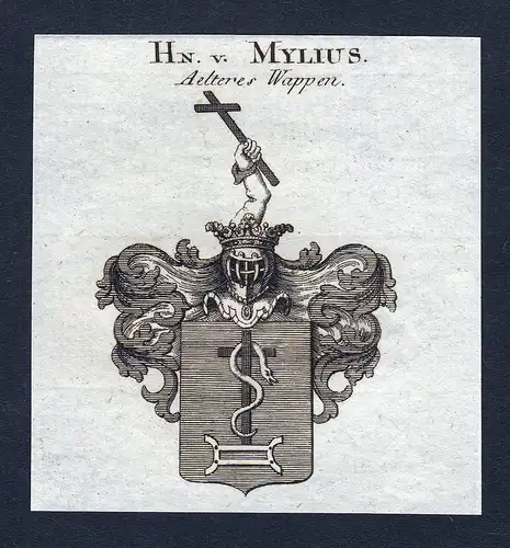 Hn. v. Mylius - Mylius Wappen Adel coat of arms Kupferstich  heraldry Heraldik