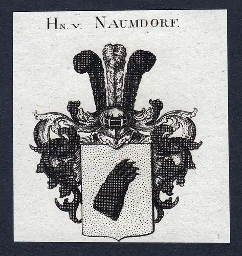 Hn. v. Naumdorf - Naumdorf Wappen Adel coat of arms Kupferstich heraldry Heraldik engraving