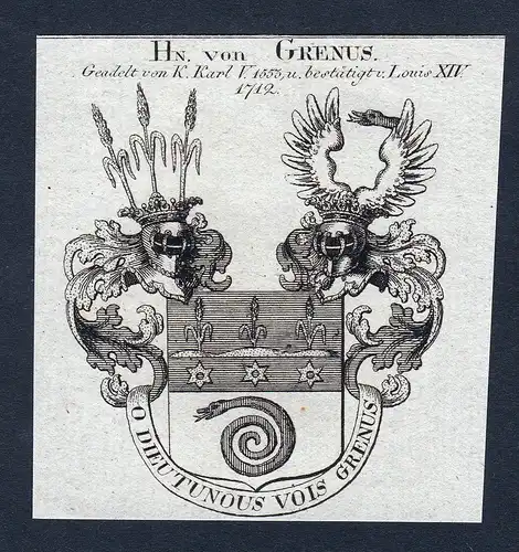 Hn. von Grenus - Grenus genus Wappen Adel coat of arms Kupferstich heraldry Heraldik engraving