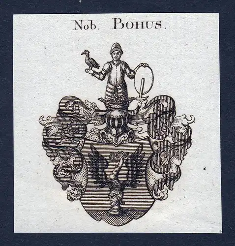 Nob. Bohus - Bohus Wappen Adel coat of arms Kupferstich heraldry Heraldik engraving