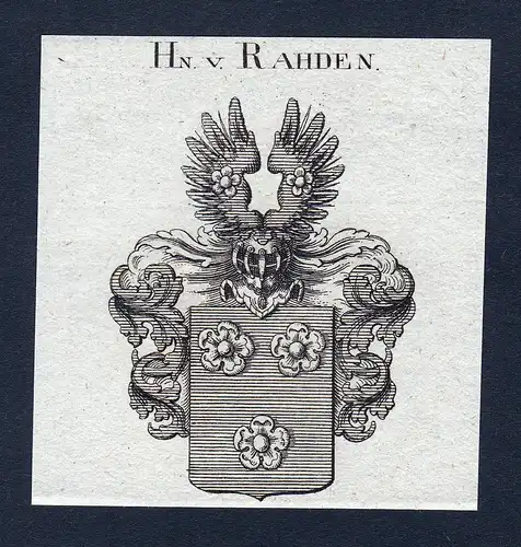 Hn. v. Rahden - Rahden Raaden Wappen Adel coat of arms Kupferstich heraldry Heraldik engraving