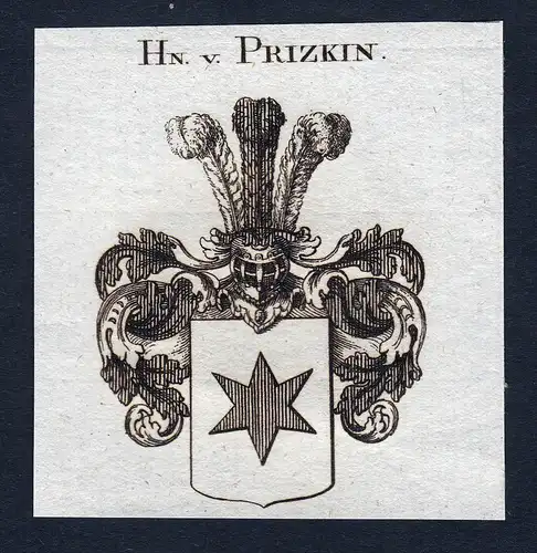 Hn. v. Prizkin - Prizkin Wappen Adel coat of arms Kupferstich heraldry Heraldik