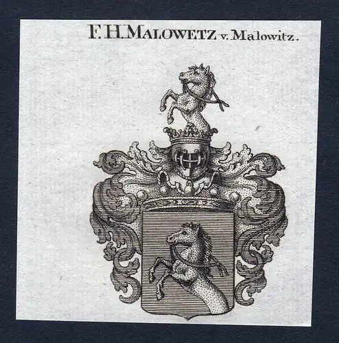 F.H. Malowetz v. Malowitz - Malowetz von Malowitz Wappen Adel coat of arms Kupferstich  heraldry Heraldik