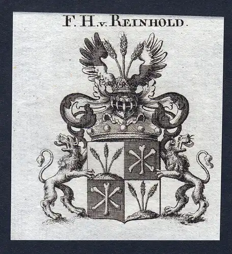 F.H. v. Reinhold - Reinhold Wappen Adel coat of arms Kupferstich  heraldry Heraldik