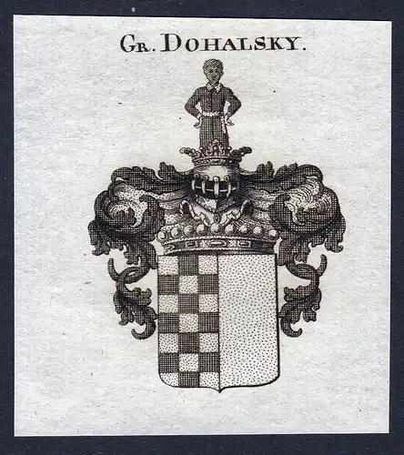 Gr. Dohalsky - Dohalsky Wappen Adel coat of arms Kupferstich  heraldry Heraldik
