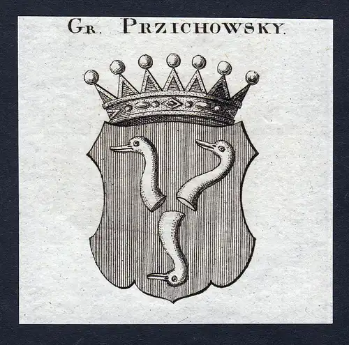 Gr. Przichowsky - Przichowsky Przichowski Wappen Adel coat of arms Kupferstich  heraldry Heraldik