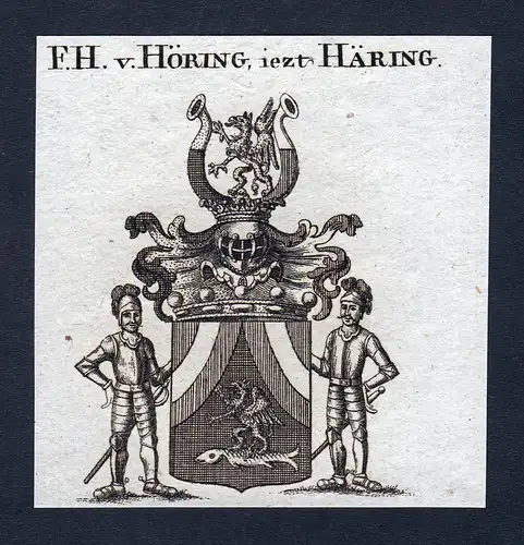 F.H. v. Höring, iezt Häring - Höring Hoering Häring Haering Wappen Adel coat of arms Kupferstich  heraldry