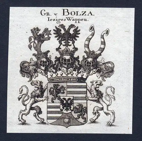 Gr. v. Bolza - Bolza Wappen Adel coat of arms Kupferstich  heraldry Heraldik