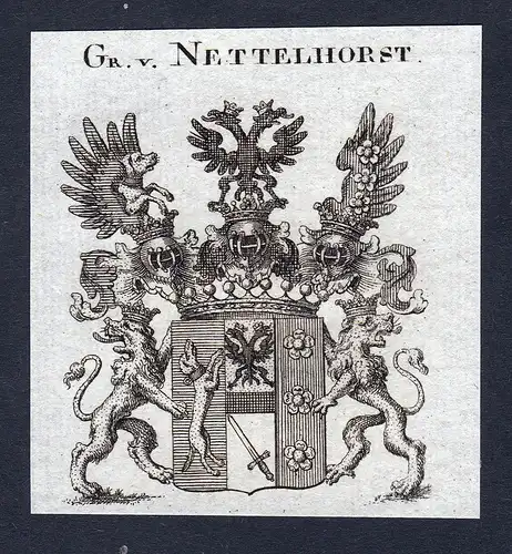 Gr. v. Nettelhorst - Nettelhorst Westfalen Wappen Adel coat of arms Kupferstich heraldry Heraldik engraving