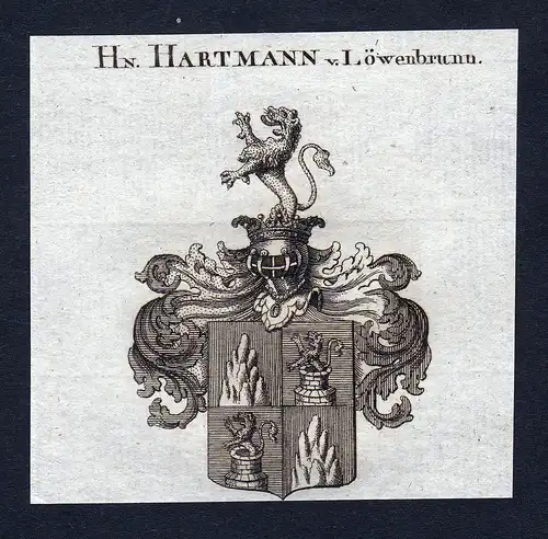 Hn. Hartmann v. Löwenbrunn - Hartmann von Löwenbrunn Loewenbrunn Wappen Adel coat of arms Kupferstich  heral