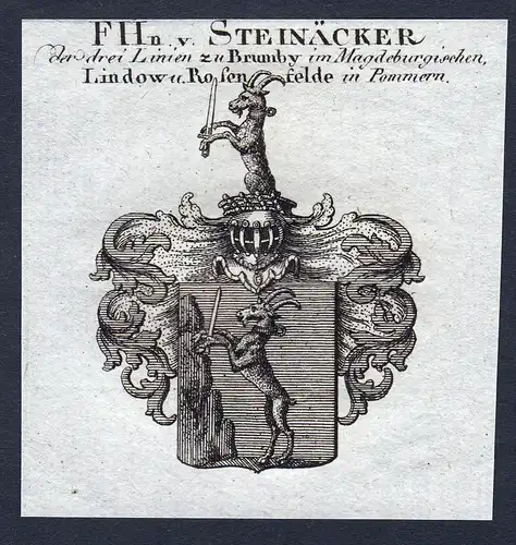 F.Hn. v. Steinäcker - Steinaecker Wappen Adel coat of arms Kupferstich  heraldry Heraldik