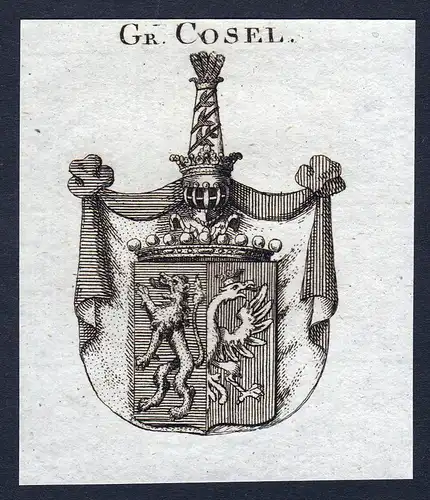 Gr. Cosel - Cosel Wappen Adel coat of arms Kupferstich  heraldry Heraldik