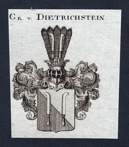 Gr. v. Dietrichstein - Dietrichstein Österreich Wappen Adel coat of arms Kupferstich heraldry Heraldik engrav