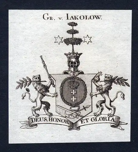 Gr. v. Iakolow - Jakolow Wappen Adel coat of arms Kupferstich  heraldry Heraldik