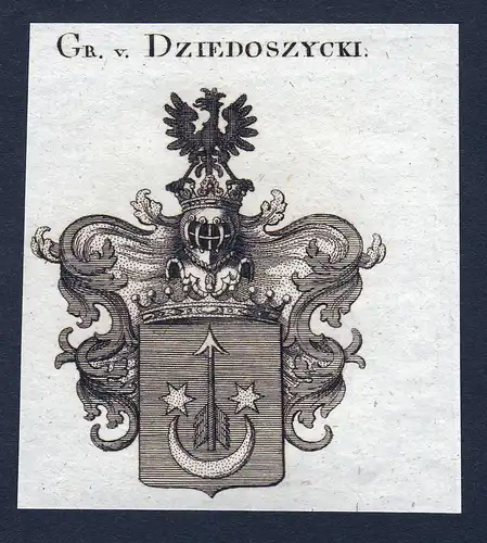 Gr. v. Dziedoszycki - Dziedoszycki Wappen Adel coat of arms Kupferstich  heraldry Heraldik