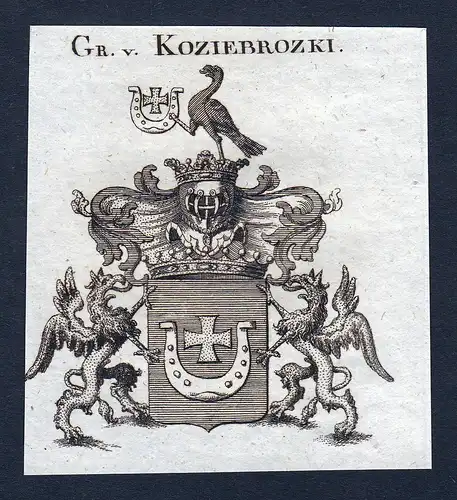 Gr. v. Koziebrozki - Koziebrozki Wappen Adel coat of arms Kupferstich  heraldry Heraldik