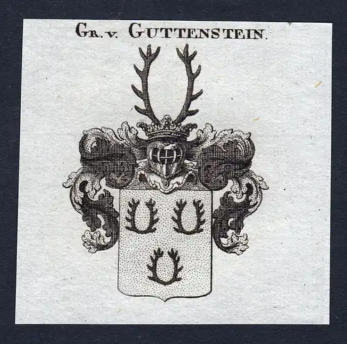 Gr. v. Guttenstein - Guttenstein Wappen Adel coat of arms Kupferstich  heraldry Heraldik