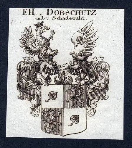 F.H. v. Dobschütz und Schadewald - Debschitz Döbschütz Schadewald Wappen Adel coat of arms Kupferstich  her