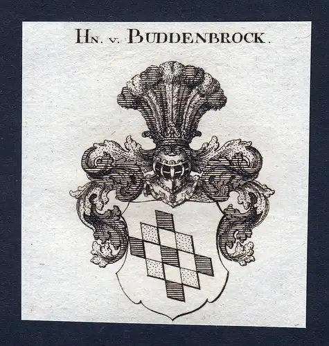 Hn. v. Buddenbrock - Buddenbrock Wappen Adel coat of arms Kupferstich  heraldry Heraldik