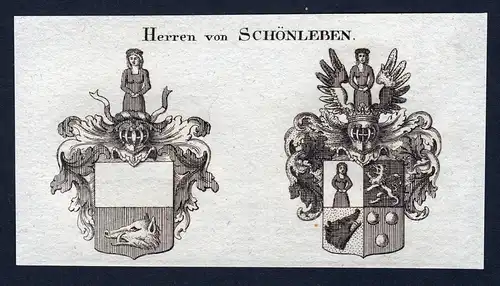 Herren von Schönleben - Schönleben Schoenleben Wappen Adel coat of arms Kupferstich  heraldry Heraldik