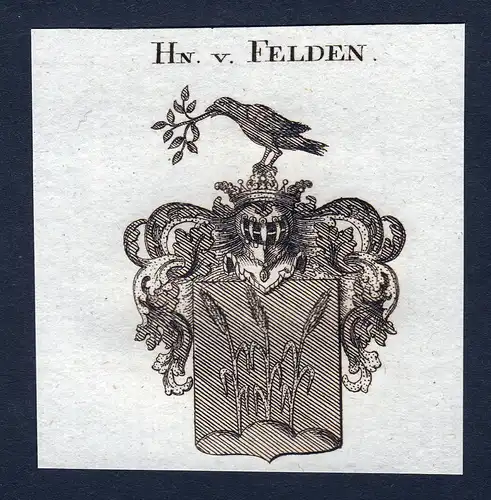 Hn. v. Felden - Felden Wappen Adel coat of arms Kupferstich  heraldry Heraldik