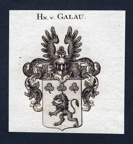 Hn. v. Galau - Galau Wappen Adel coat of arms Kupferstich  heraldry Heraldik