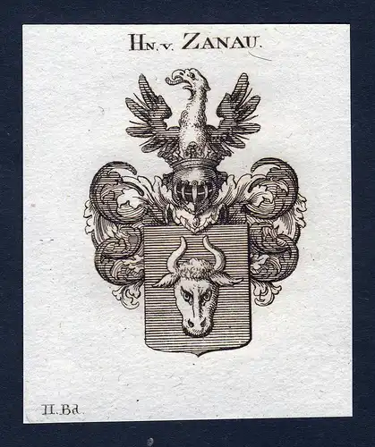 Hn. v. Zanau - Zanau Wappen Adel coat of arms Kupferstich  heraldry Heraldik