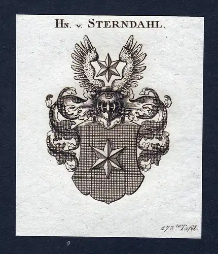 Hn. v. Sterndahl - Sterndahl Wappen Adel coat of arms Kupferstich  heraldry Heraldik