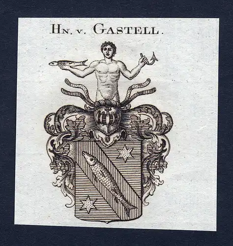 Hn. v. Gastell - Gastell Wappen Adel coat of arms Kupferstich  heraldry Heraldik