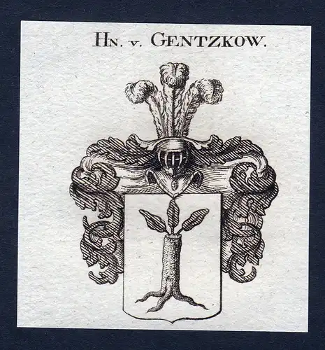 Hn. v. Gentzkow - Gentzkow Wappen Adel coat of arms Kupferstich  heraldry Heraldik