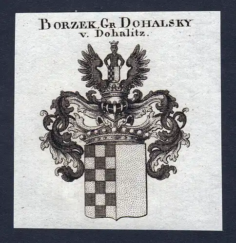 Borzek, Gr. Dohalsky v. Dohalitz - Borzek-Dohalsky Dohalitz Wappen Adel coat of arms Kupferstich  heraldry Her