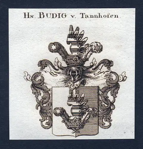 Hn. Budig v. Tannhofen - Budig von Tannhofen Wappen Adel coat of arms Kupferstich  heraldry Heraldik