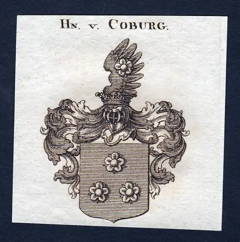 Hn. v. Coburg - Coburg Wappen Adel coat of arms Kupferstich  heraldry Heraldik