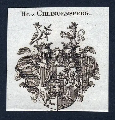 Hn. v. Chlingensperg - Chlingensperg Wappen Adel coat of arms Kupferstich  heraldry Heraldik