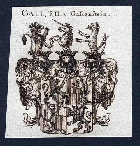 Gall, F.H. v. Gallenstein - Gall von Gallenstein Wappen Adel coat of arms Kupferstich  heraldry Heraldik