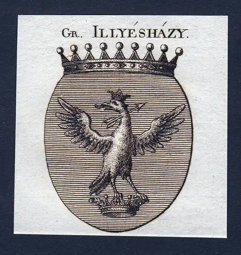 Gr. Illyeshazy - Illyeshazy Wappen Adel coat of arms Kupferstich  heraldry Heraldik