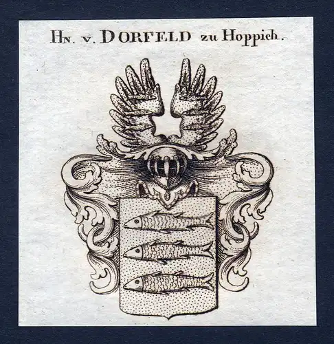 Hn. v. Dorfeld zu Hoppich - Dorfeld zu Hoppich Wappen Adel coat of arms Kupferstich  heraldry Heraldik