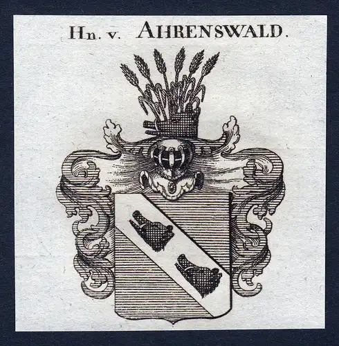 Hn. v. Ahrenswald - Ahrenswald Wappen Adel coat of arms Kupferstich  heraldry Heraldik