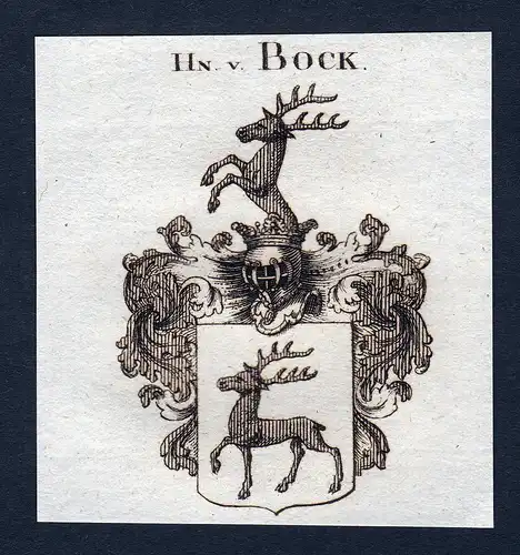 Hn. v. Bock - Bock Wappen Adel coat of arms Kupferstich  heraldry Heraldik