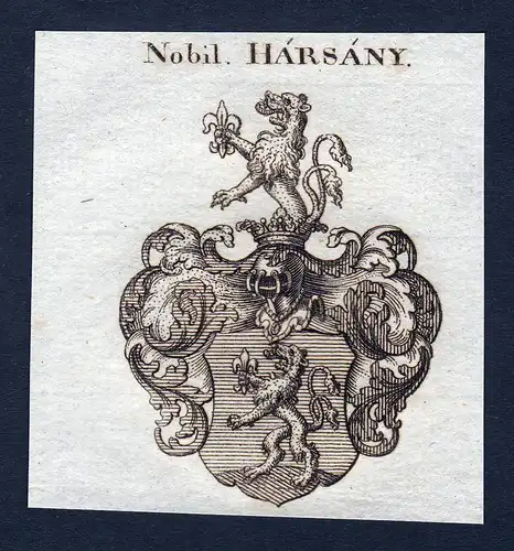 Nobil. Harsany - Harsany Harsanyi Wappen Adel coat of arms Kupferstich  heraldry Heraldik