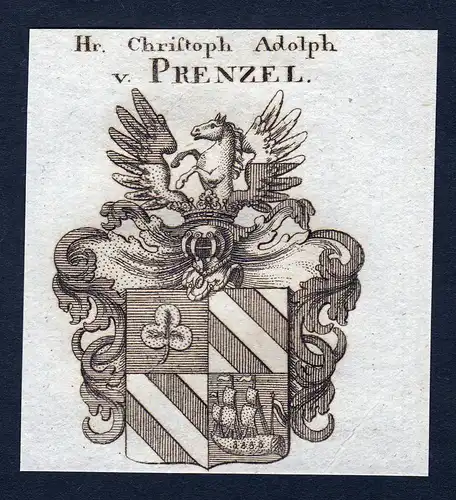 Hr. Christoph Adolph v. Prenzel - Prenzel Wappen Adel coat of arms Kupferstich  heraldry Heraldik