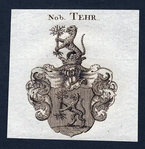 Nob. Tehr - Tehr Wappen Adel coat of arms Kupferstich  heraldry Heraldik