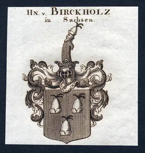 Hn. v. Birckholz in Sachsen - Birckholz Sachsen Wappen Adel coat of arms heraldry Heraldik